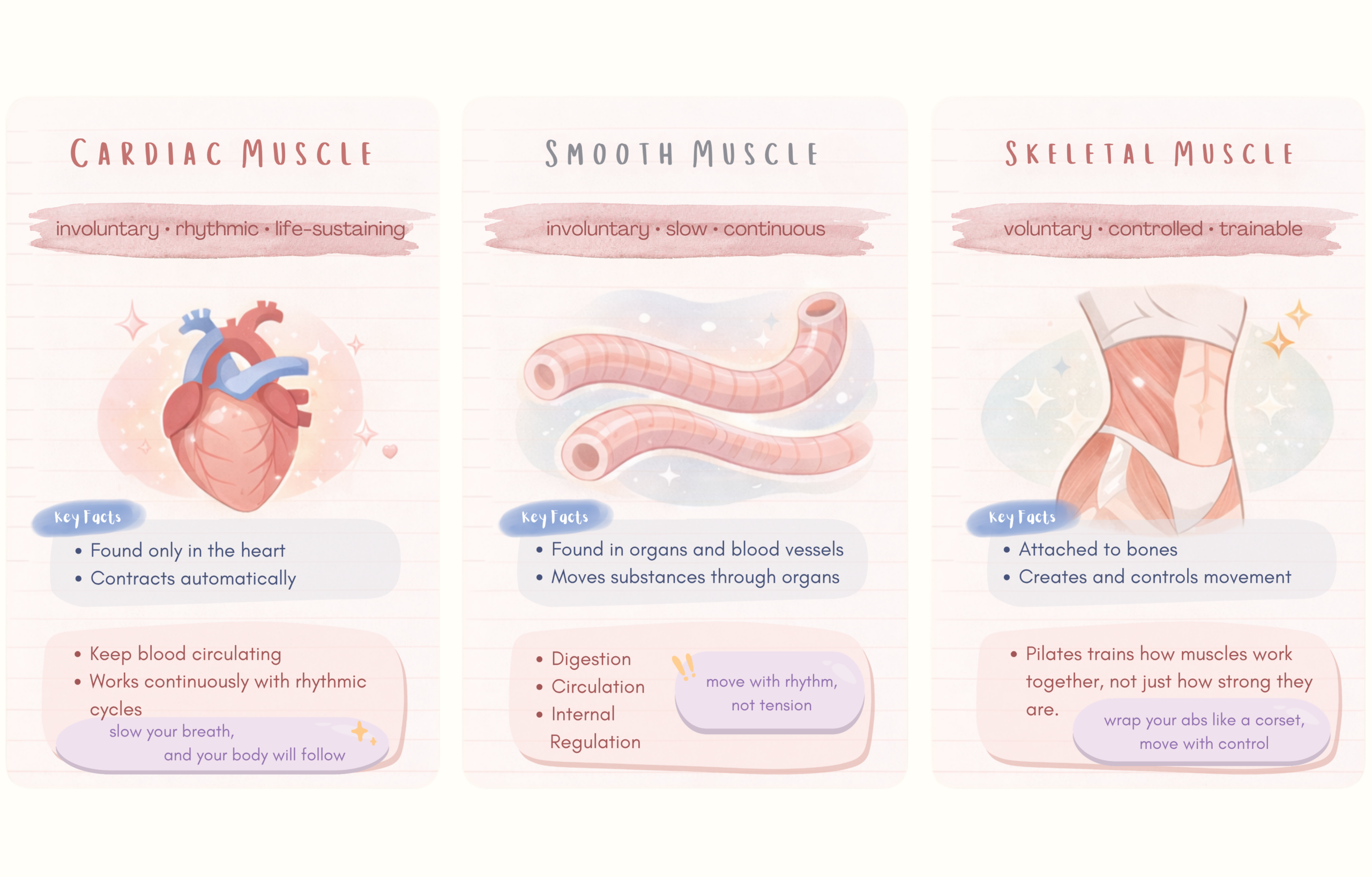 The Three Types of Muscle