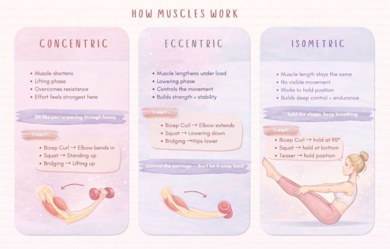 How muscles work